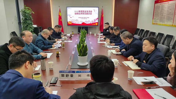 安徽AG旗舰厅地产集团公司党委召开2020年度民主生涯会前征求意见座谈会