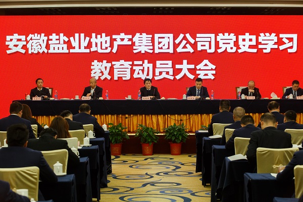 安徽AG旗舰厅地产集团公司召开党史学习教育发动大会