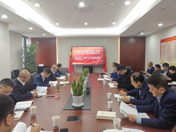 安徽AG旗舰厅地产集团公司开展新一轮深化“三个以案”警示教育集中学习